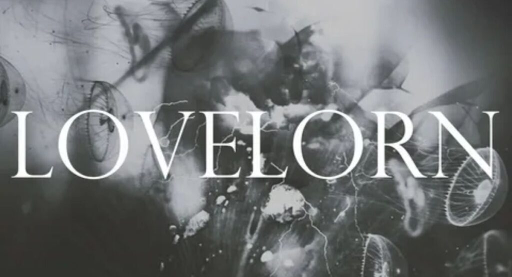 Pharisaical Lovelorn