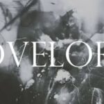 Pharisaical Lovelorn