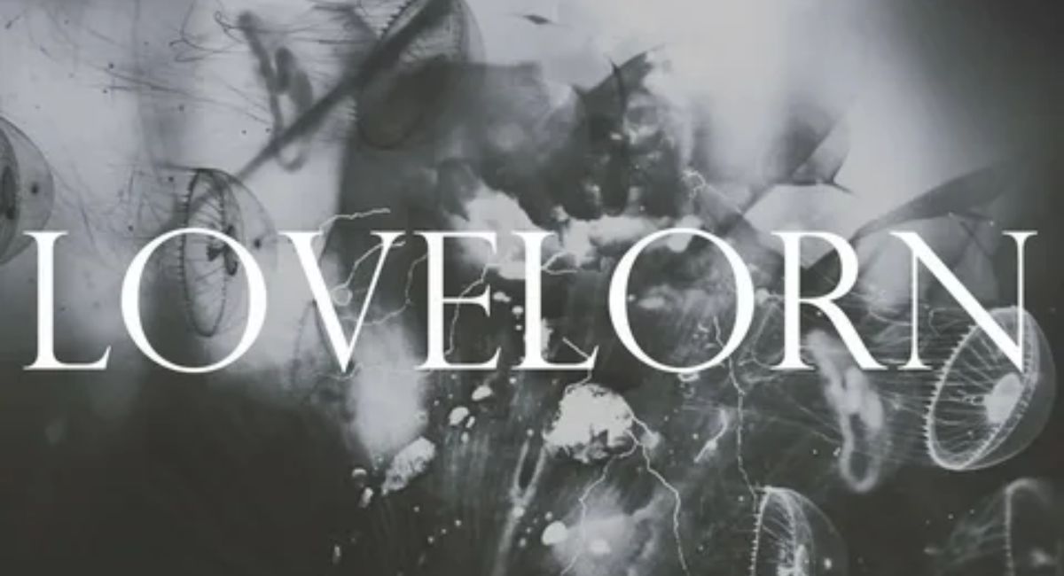 Pharisaical Lovelorn